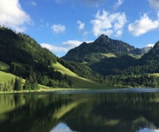 Campos de Férias na Suíça